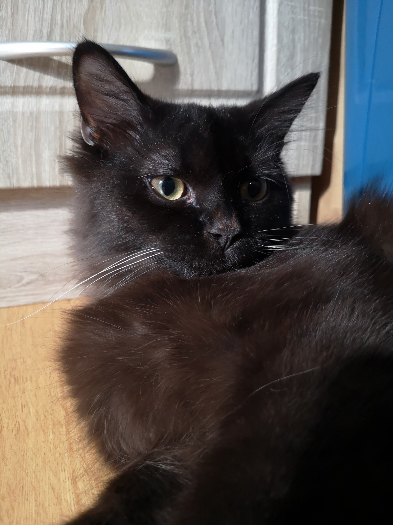 Hades