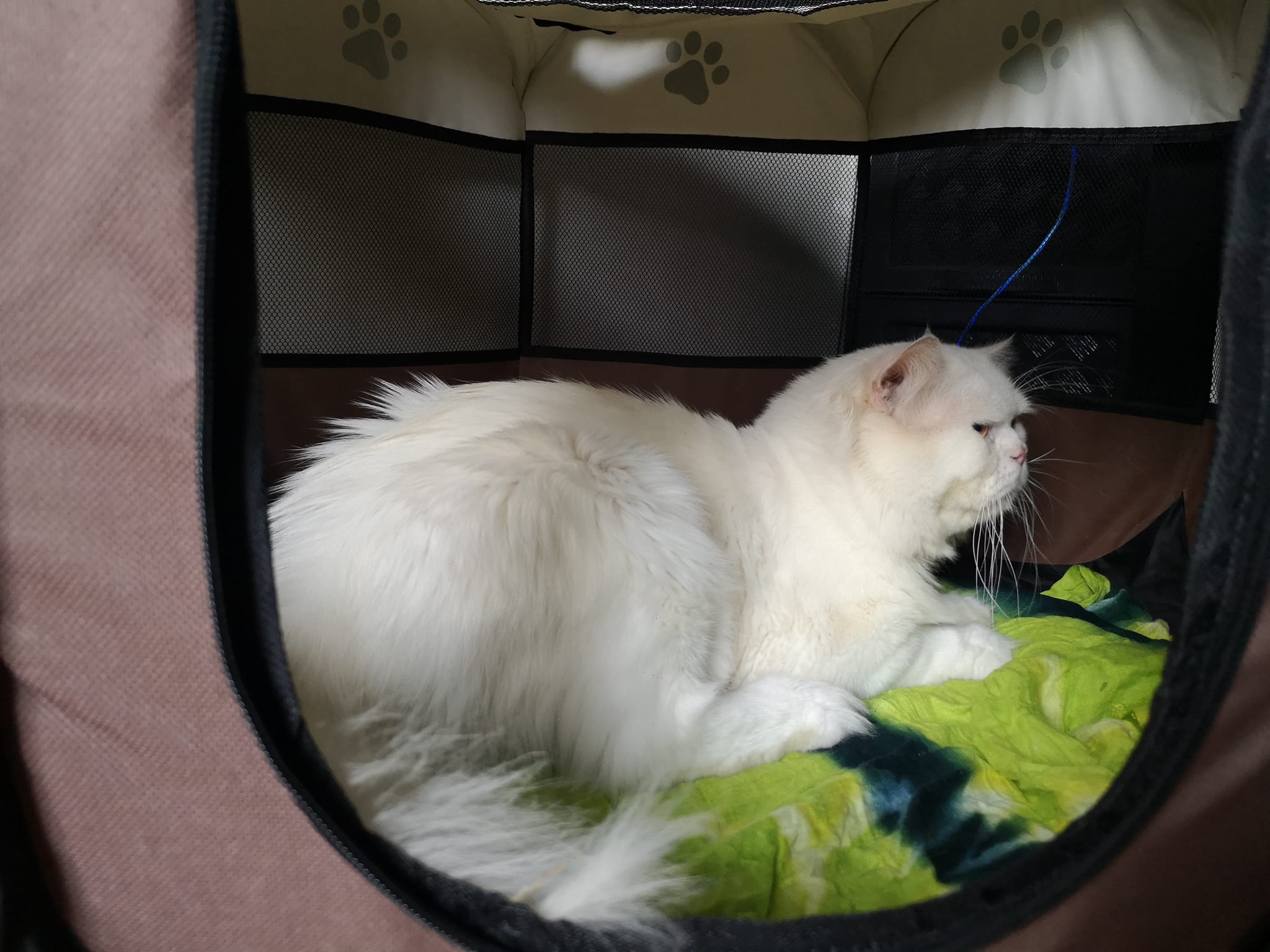 Stealth mode activated